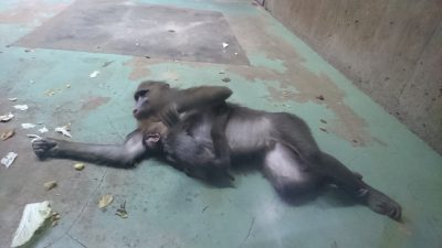 休憩するデイとイラーリ