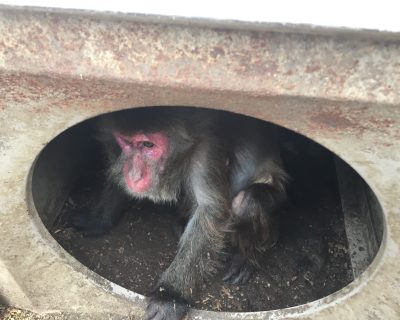 箱の中から
