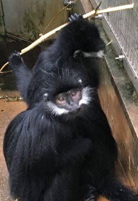 釣り