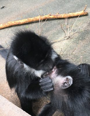 顔いじり1