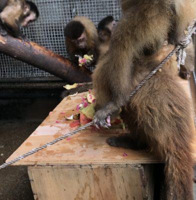 ケーキをプレゼントその２