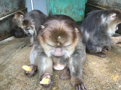 探す