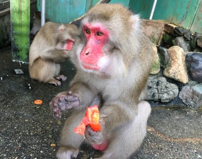 コウキ