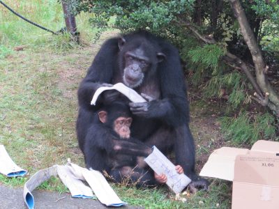 食べるマモルとマルコ