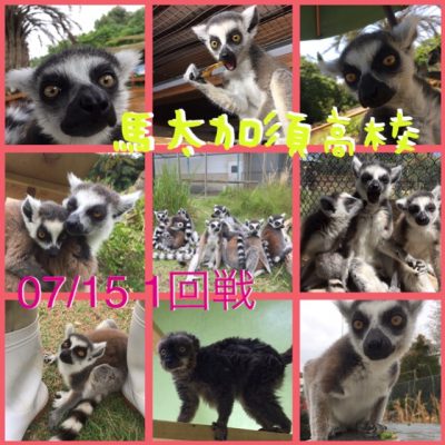 馬太加須高校1
