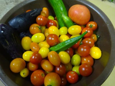 夏野菜のプレゼント