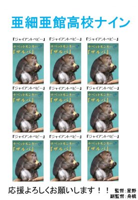ザルバだらけナイン