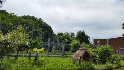 太陽が出てきたマダガスカル