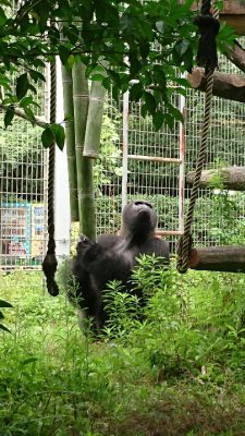 上を気にするタロウ
