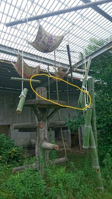 壊れた竹フィーダー