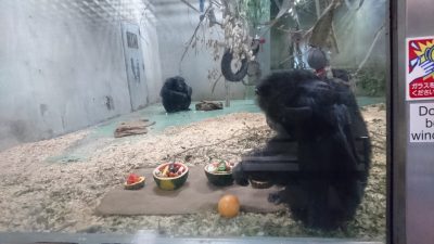 おやつをひとりで食べるアキラ