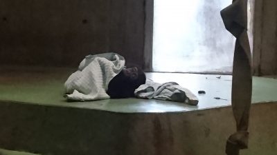 ふとんから顔を出すマモル