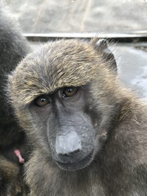 覗き込み〜