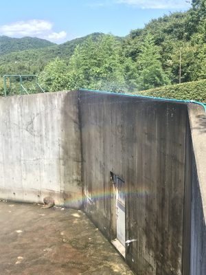 シャワー始動！