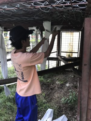 消防ホース設置中