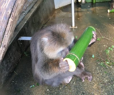 中を確認