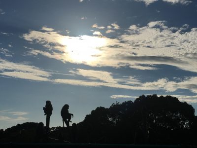 夕方のヒヒの城
