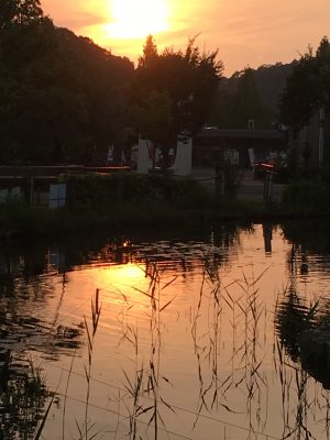 夕日