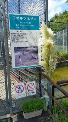 ススキ寄附