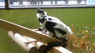 歌うように食べる