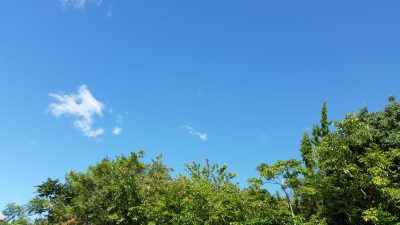 秋空
