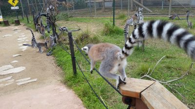 飛ぶ瞬間
