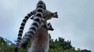 晴れ間