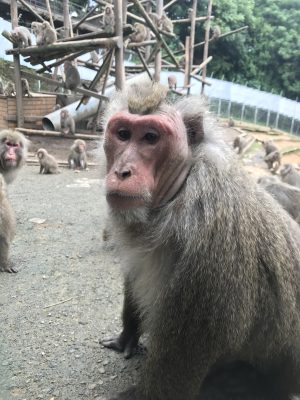 ウィンキー2