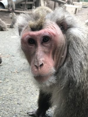 ウィンキー3