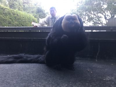 モップくんと堀込さん