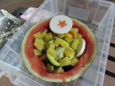 チンパンジーへのおやつその2