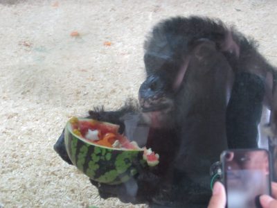 スイカボウルを抱えるアキラ