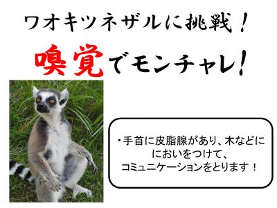 モンチャレ3