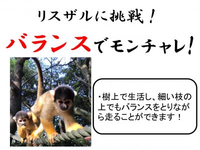 モンチャレ5