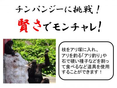 モンチャレ4