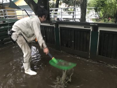 除雪スコップ