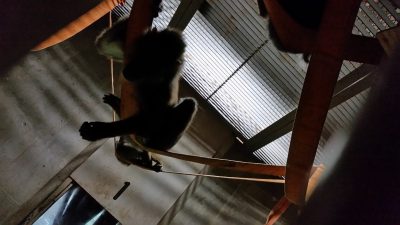 消防ホースのマンドリル