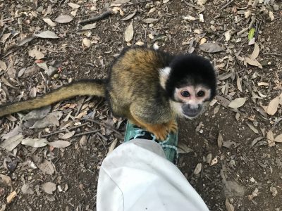 足に乗るオメガ