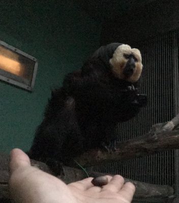一つ残ってるよ…