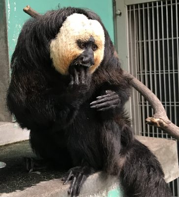 実は口に指を突っ込んでいるワンシーン