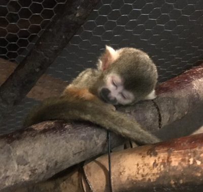 赤ちゃん睡眠中