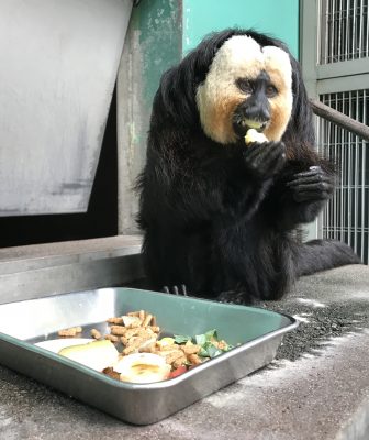 食べてるモップくん