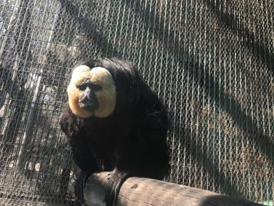 モップくんでした。