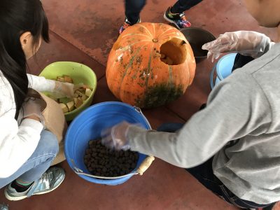 おやつ入れ中