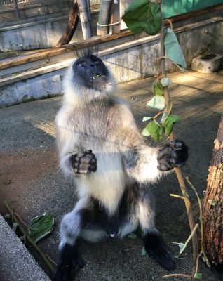 サミー2