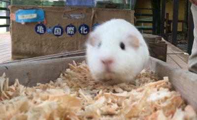 さらに近づく