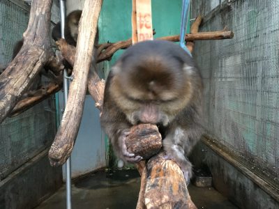 足元を噛む