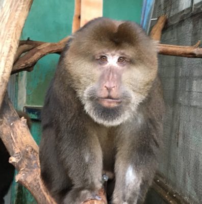 ザルバさん