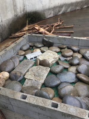 ヒヒの城　探索ゾーン