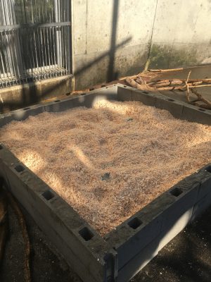 探索ゾーン